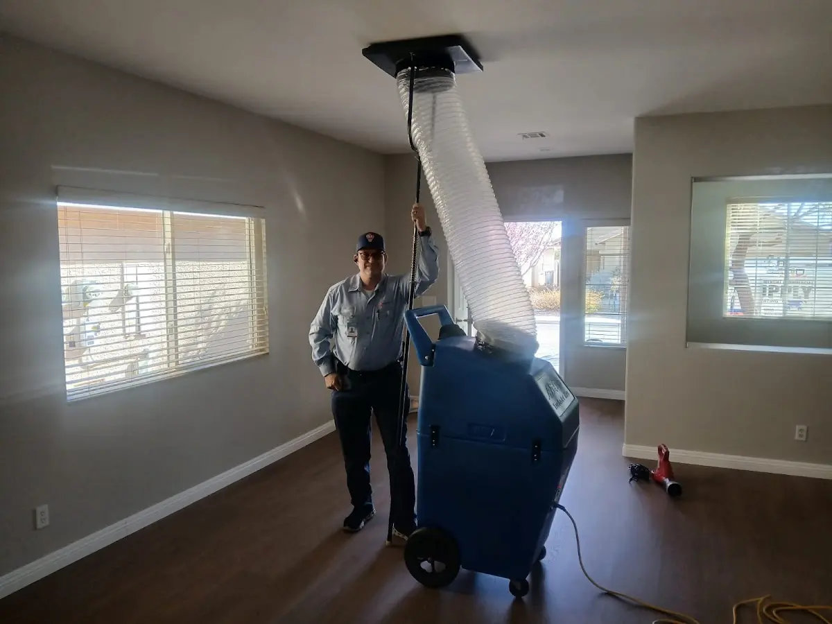 Professional Dryer Vent Cleaning work inside a Lacombe home